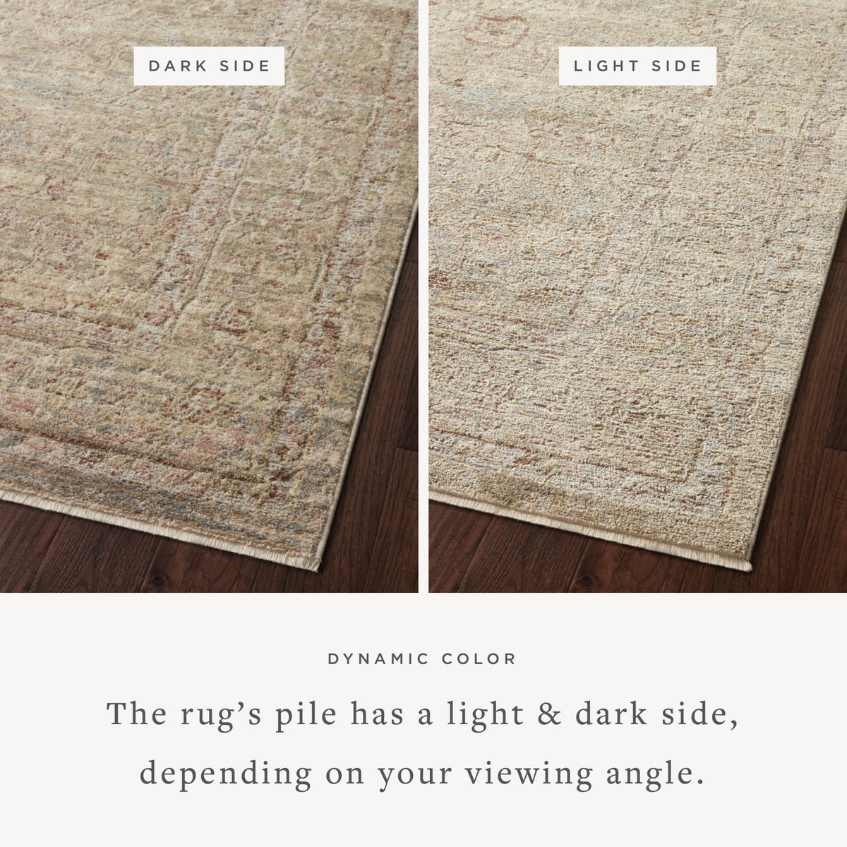 Loloi Sonnet 18" x 18" Sample Rug