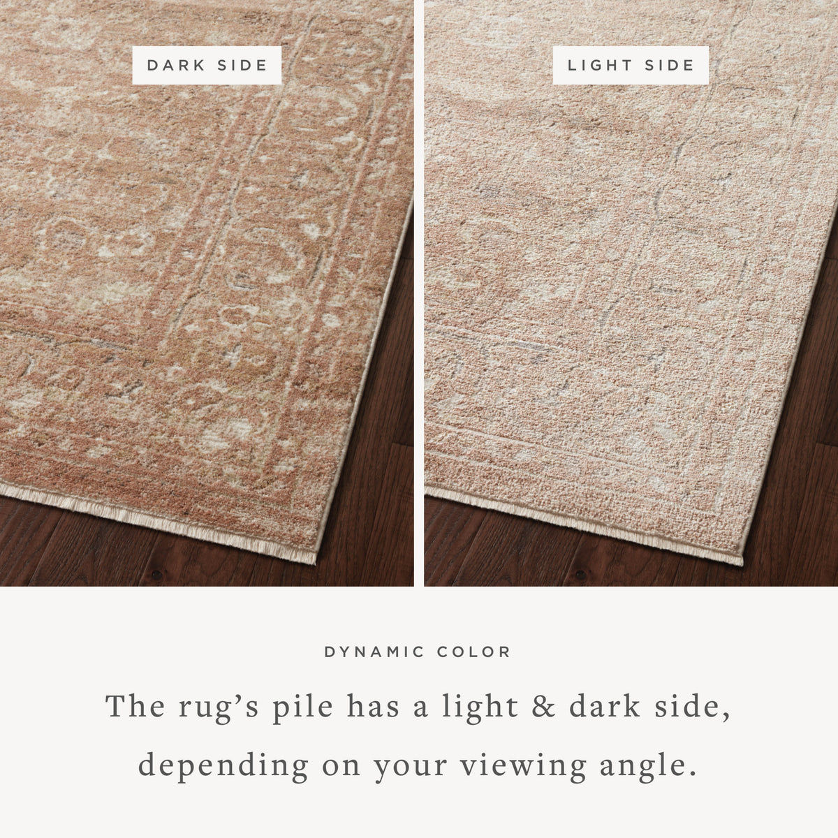 Loloi Sonnet 18" x 18" Sample Rug