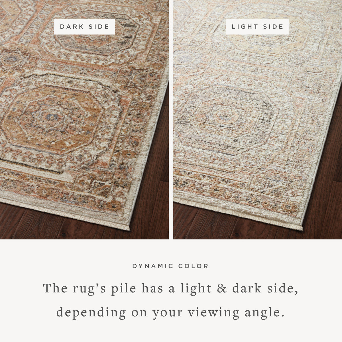 Loloi Sonnet 18" x 18" Sample Rug