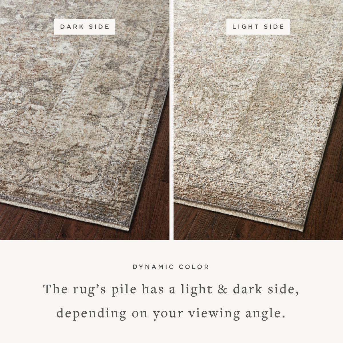 Loloi Sonnet Area Rug