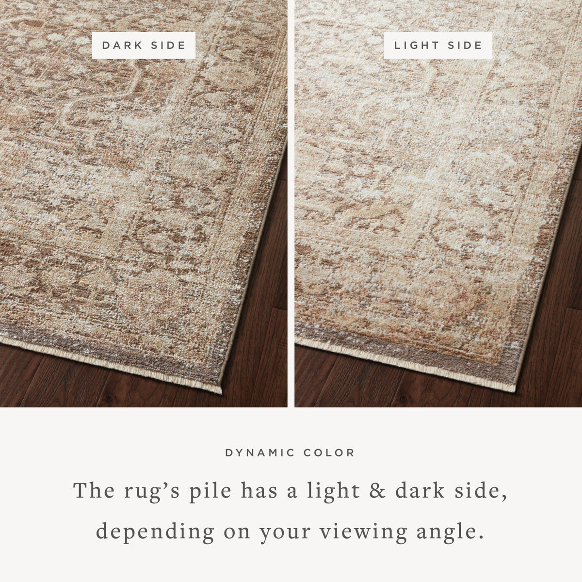 Loloi Sonnet Area Rug