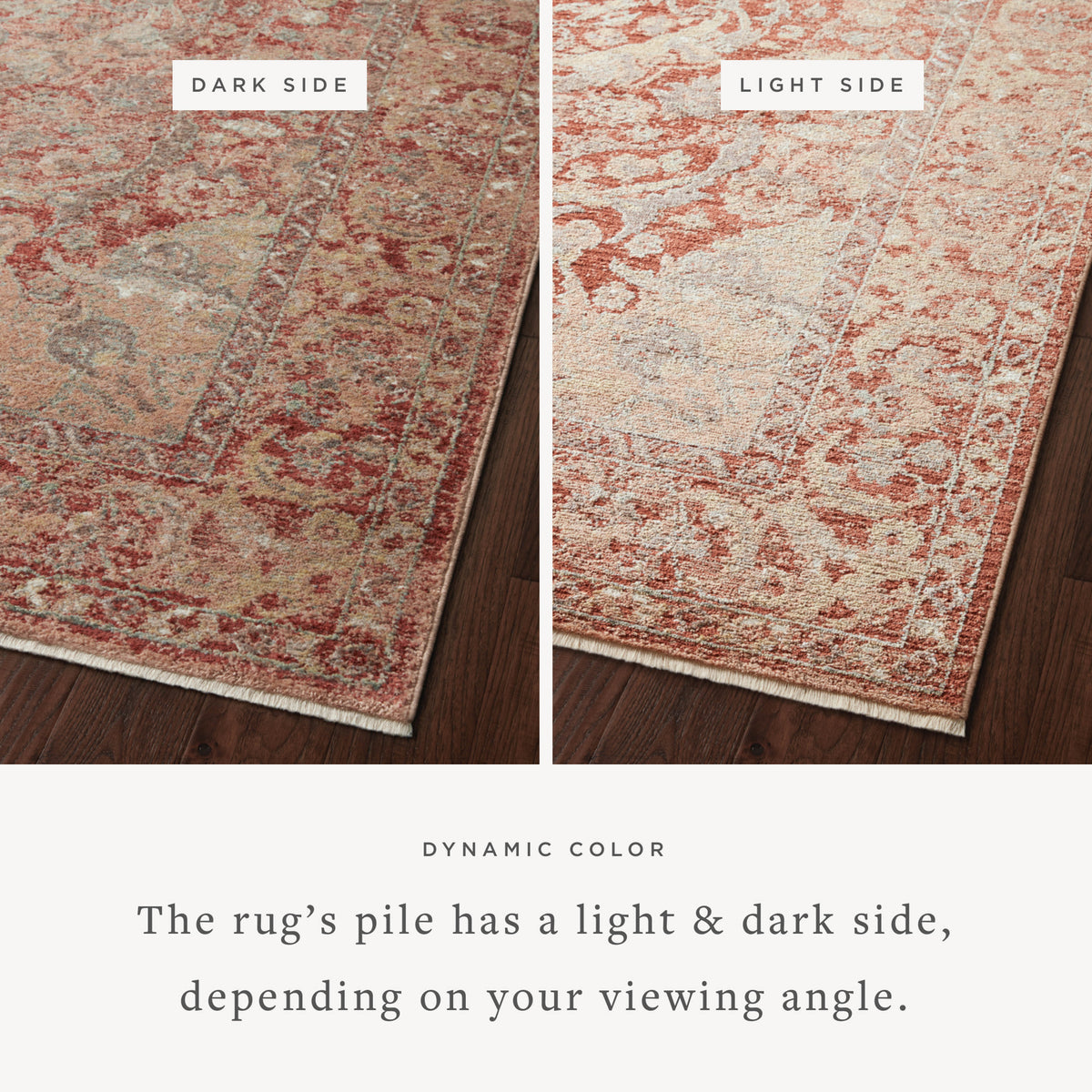 Loloi Sonnet 18" x 18" Sample Rug