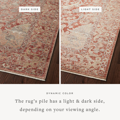 Loloi Sonnet 18" x 18" Sample Rug