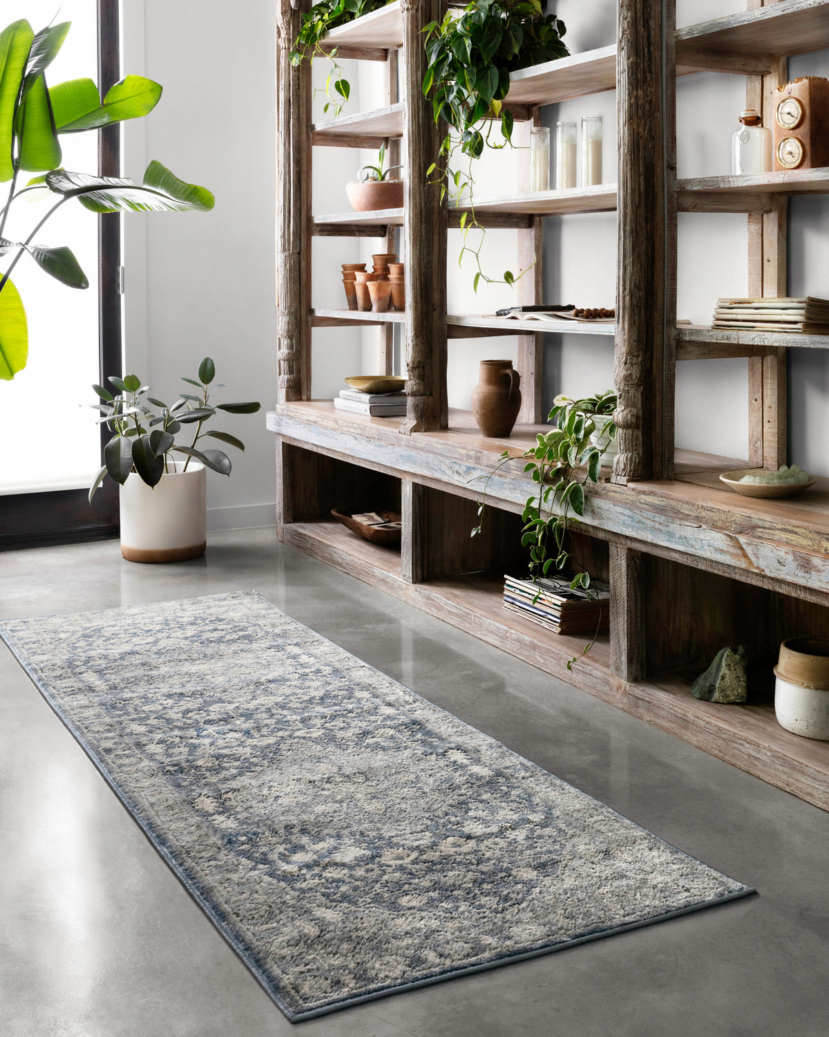 Loloi Haven Runner Rug