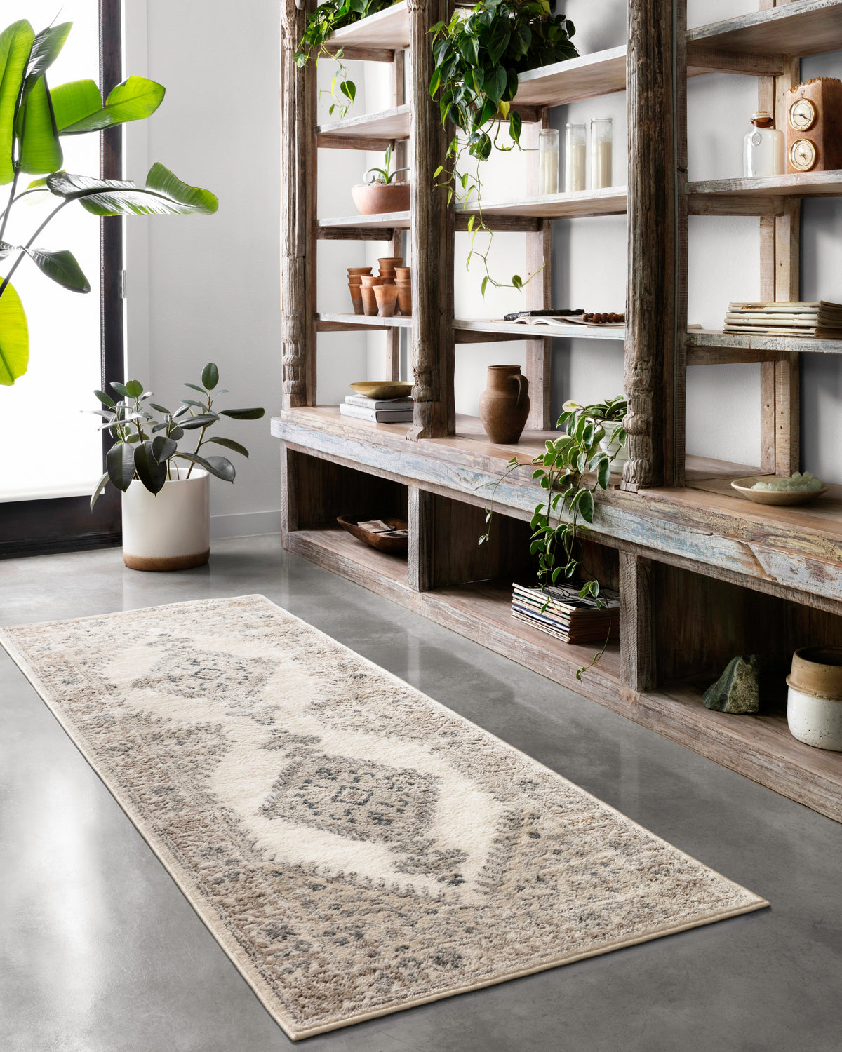 Loloi Haven Runner Rug