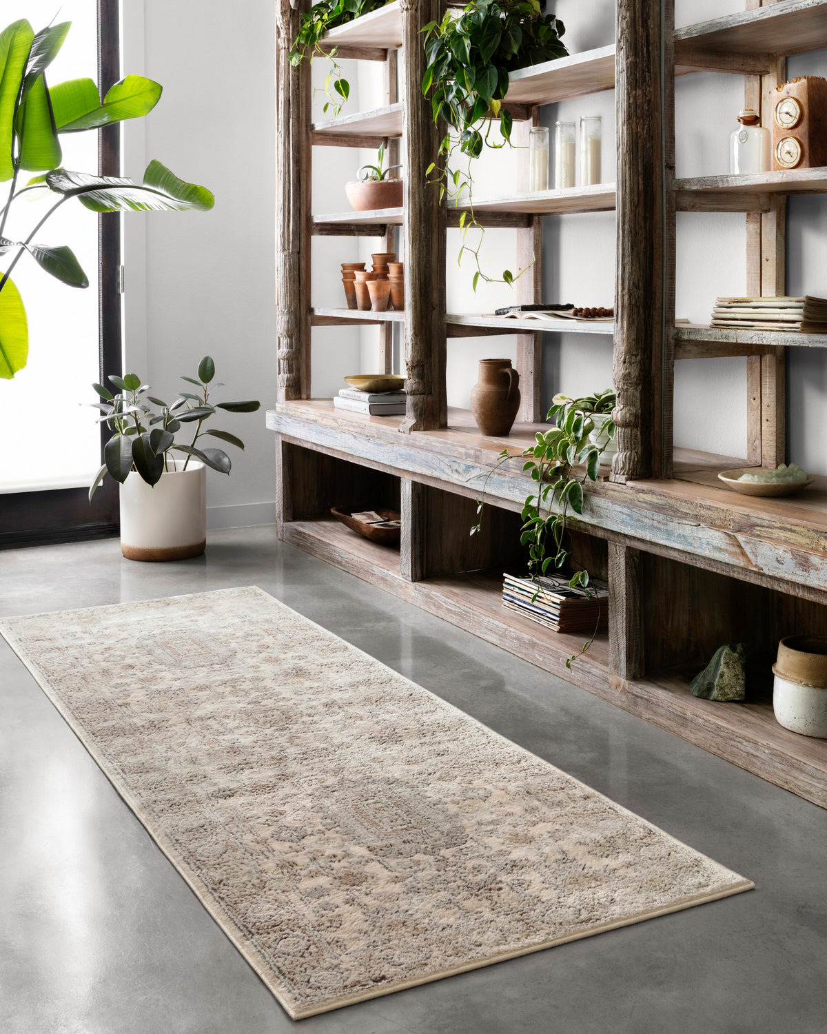 Loloi Henrick Runner Rug