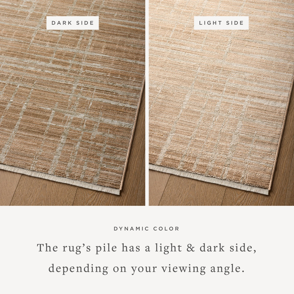 Wade Accent Rug