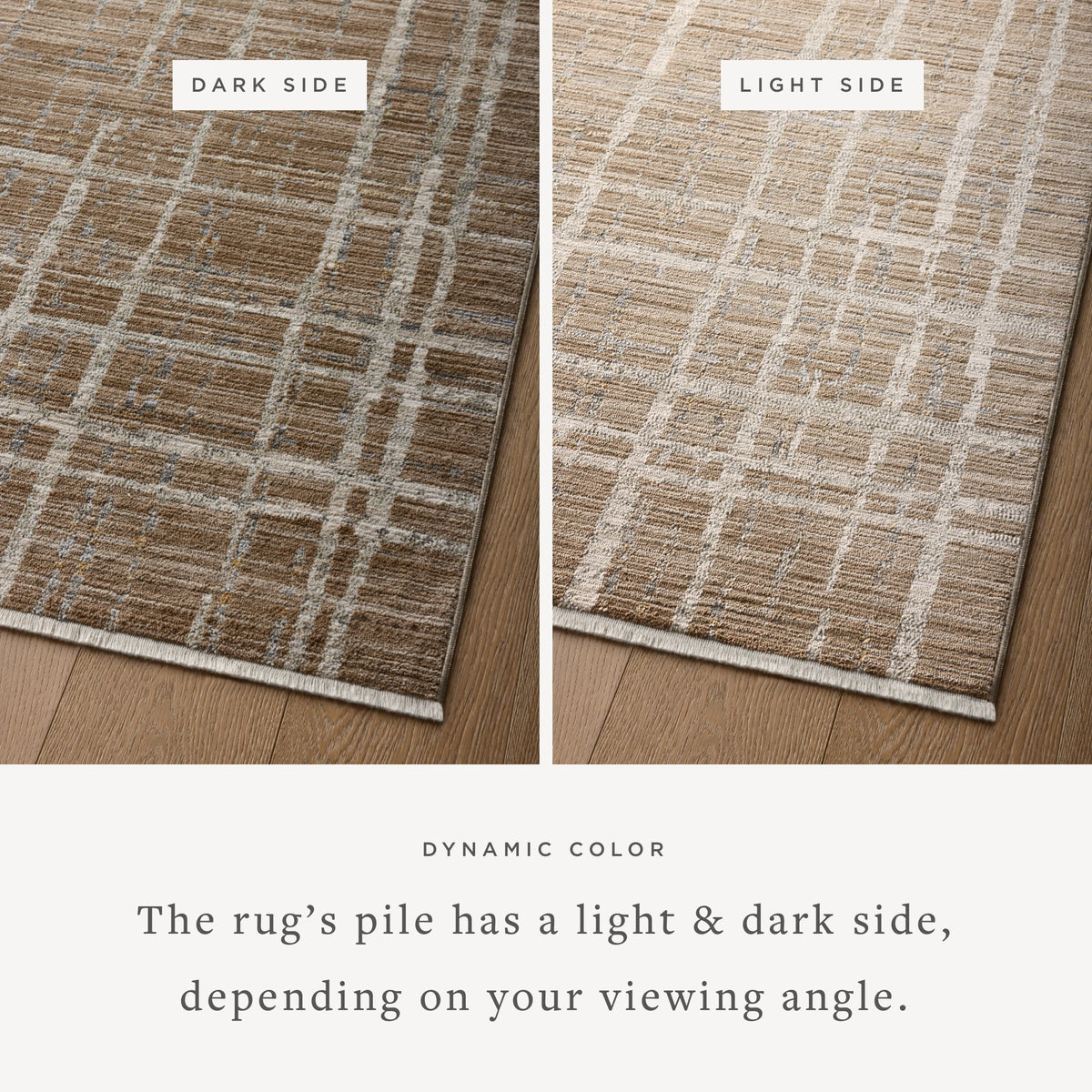 Wade Accent Rug