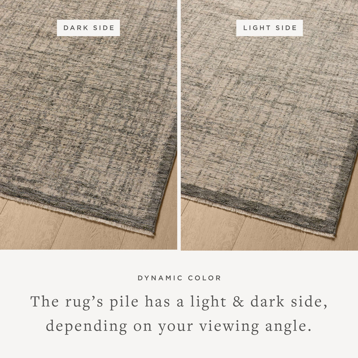Loloi Remy Rug