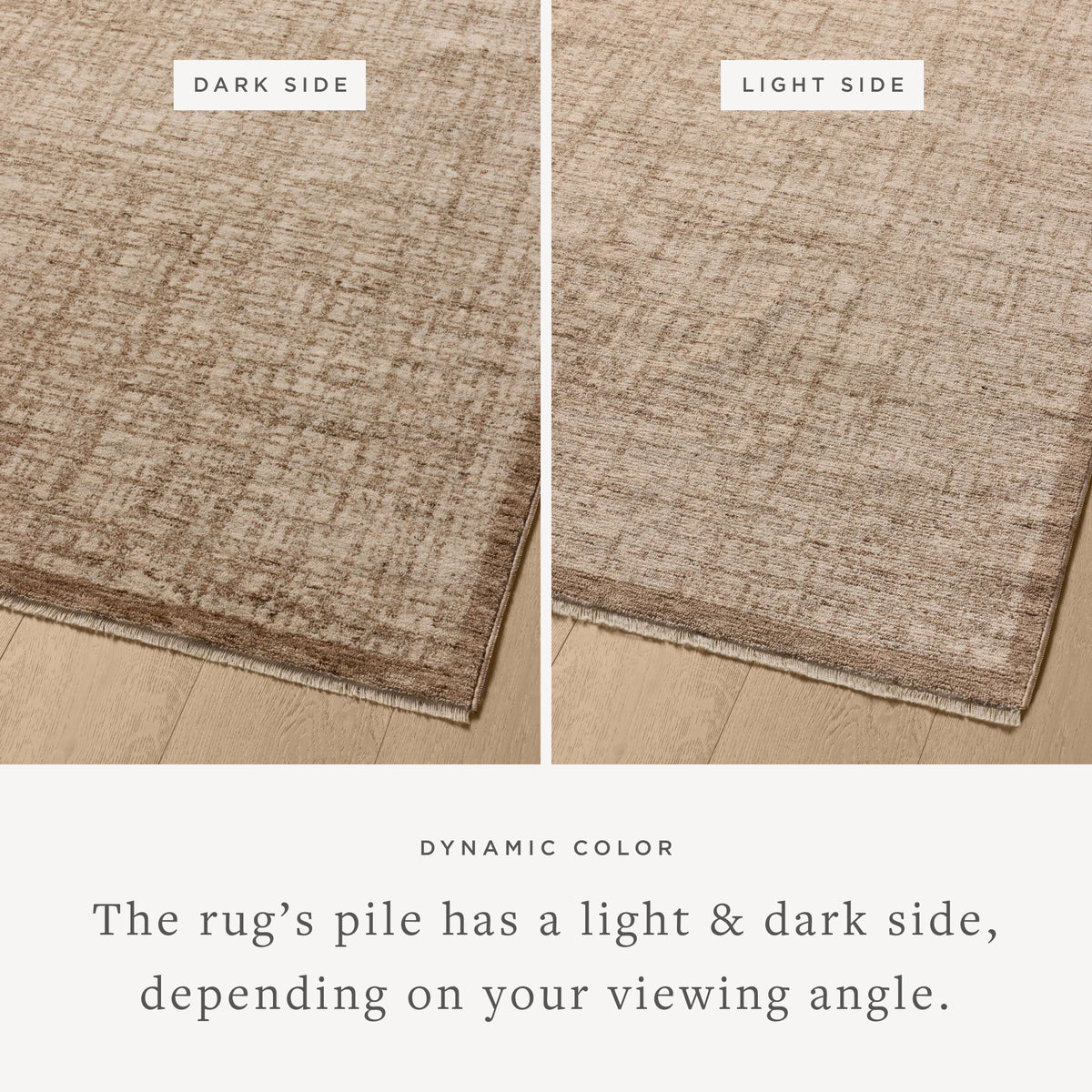 Loloi Sarita Area Rug
