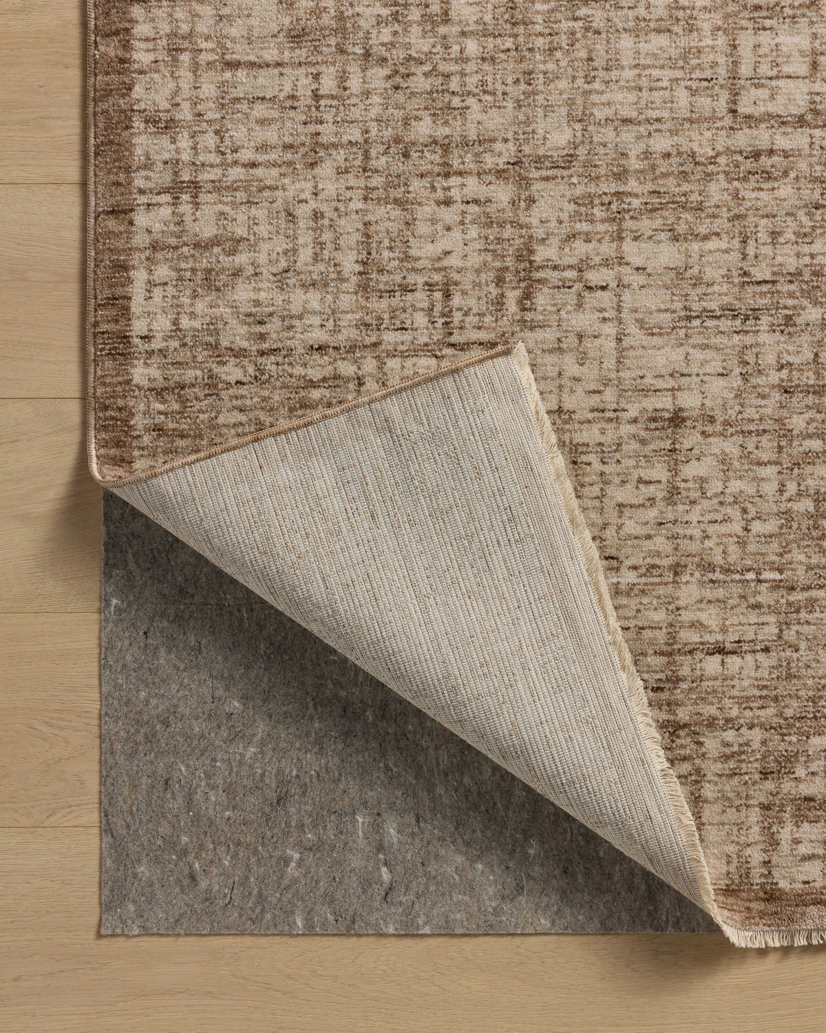 Loloi Remy Rug