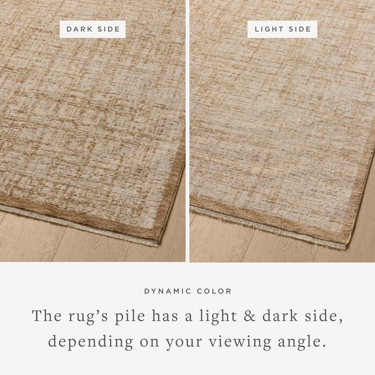 Loloi Remy Rug
