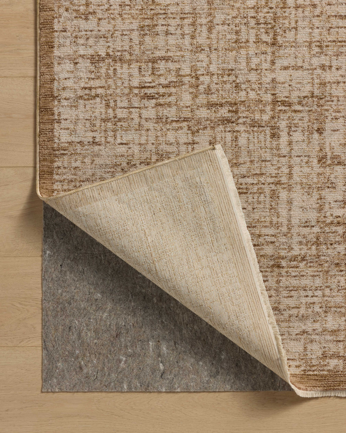 Loloi Sarita Area Rug