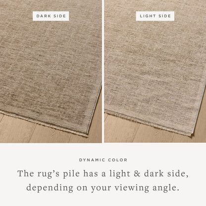 Loloi Sarita Area Rug