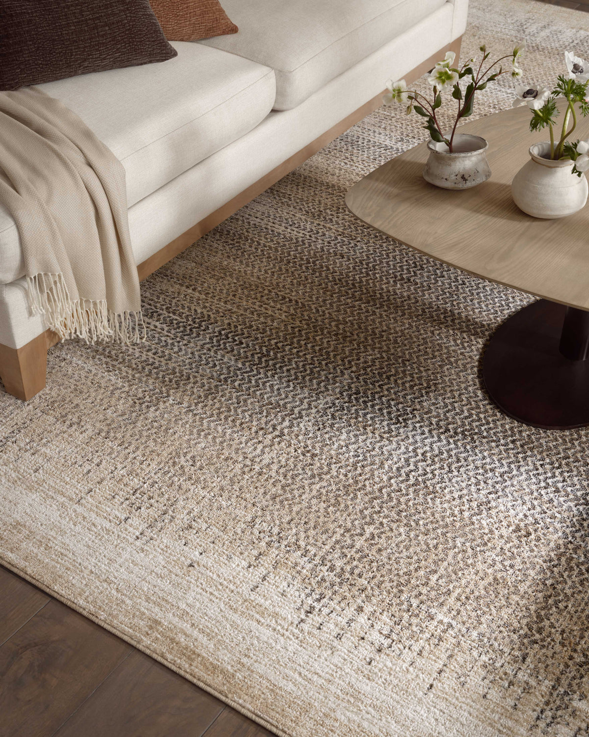 Loloi Wyatt 18" x 18" Sample Rug