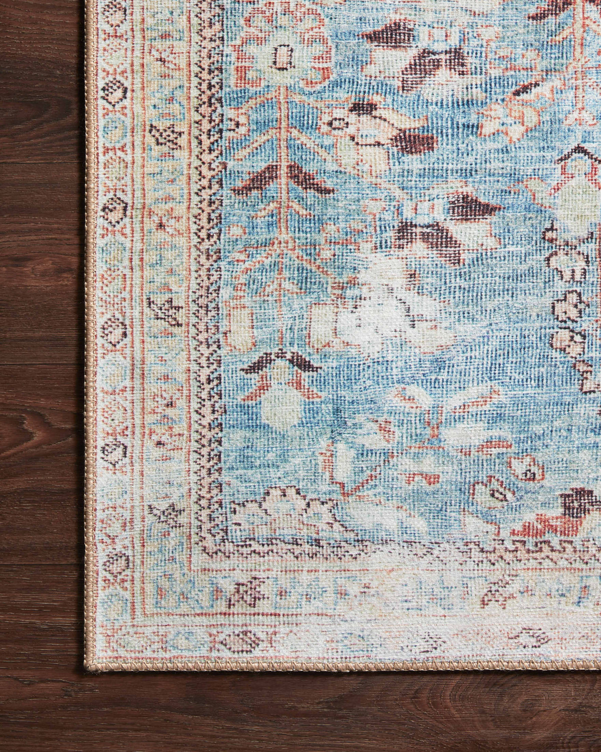 Loloi Wynter Accent Rug