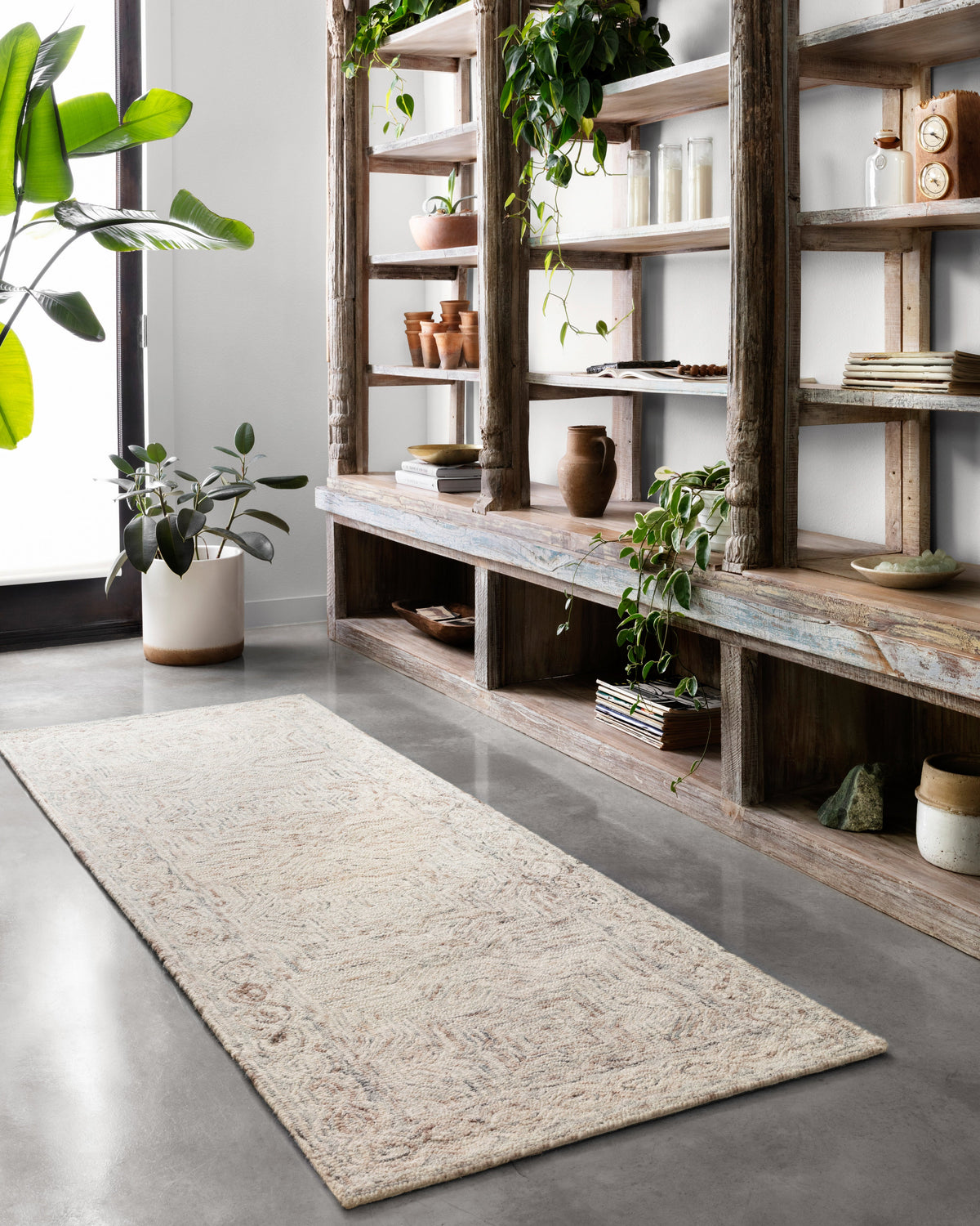 Loloi Ziva Area Rug