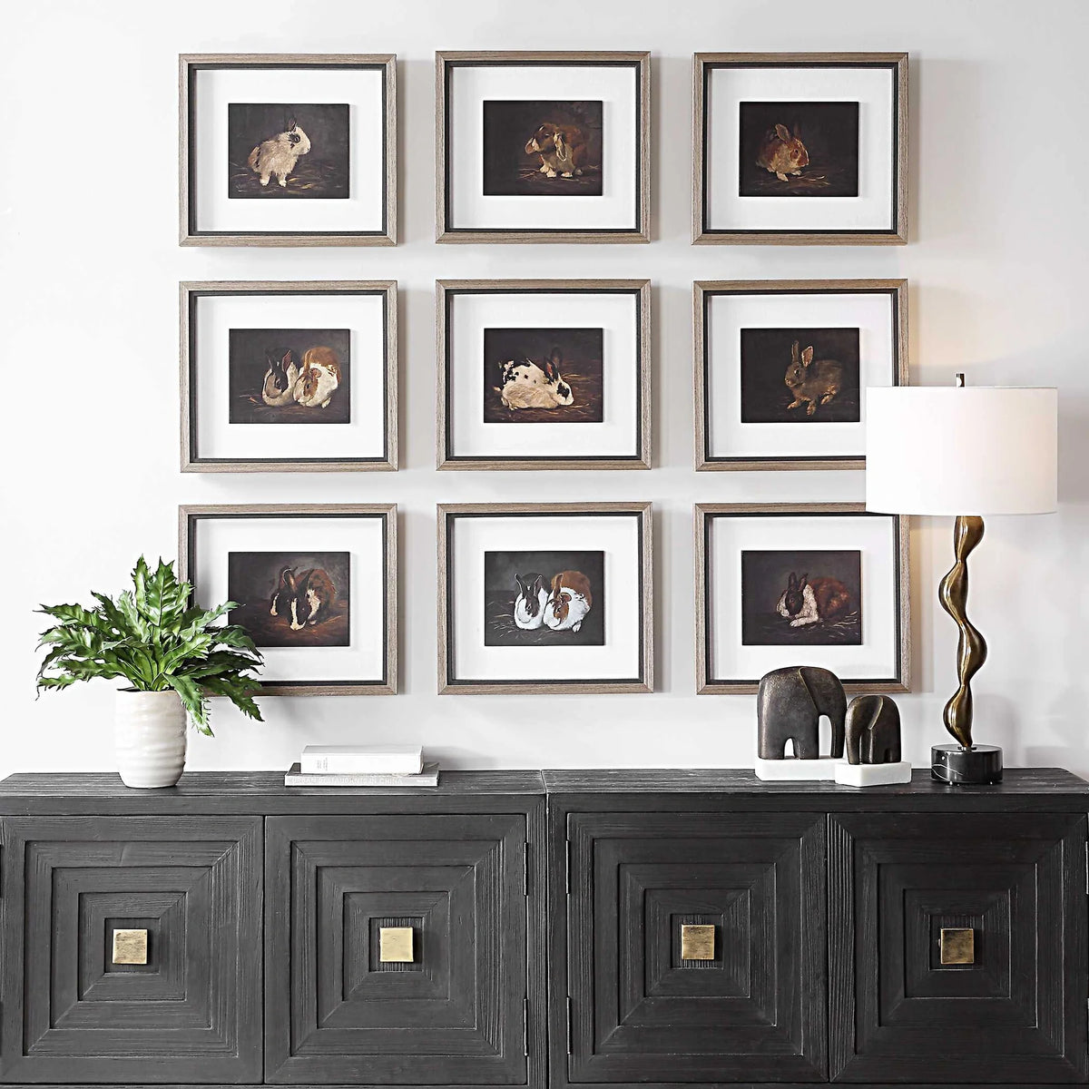 Framed Rabbit Prints, Set of 9