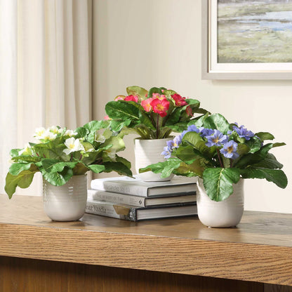 Accents In Vases Set/3