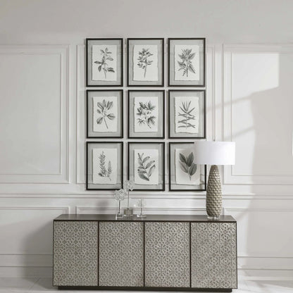 Framed Botanical Prints, Set of 9