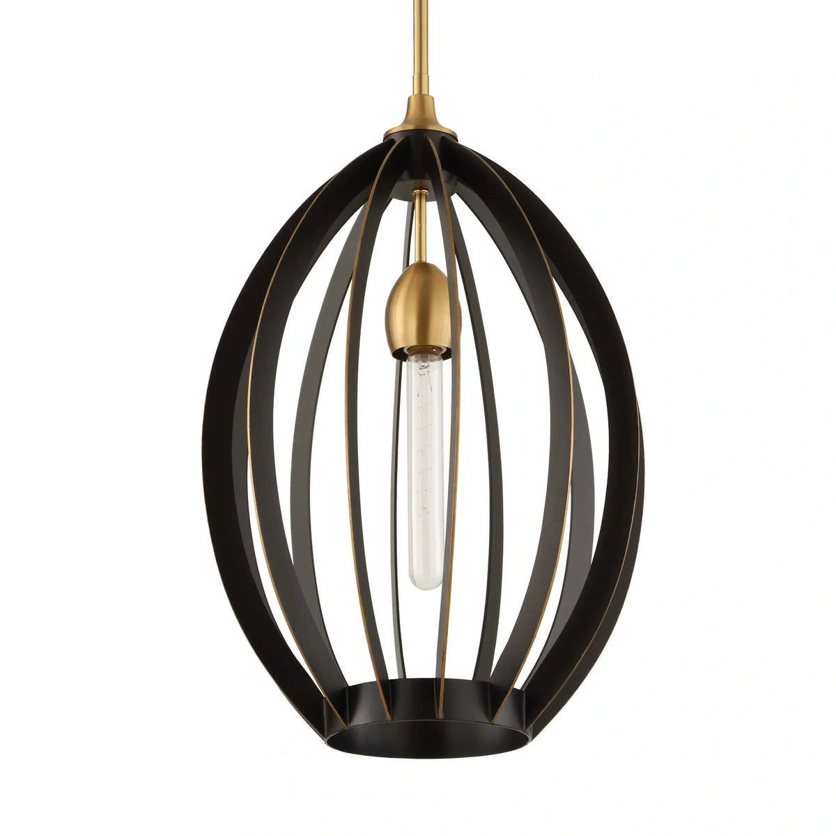 1 Light Architectural Oval Pendant