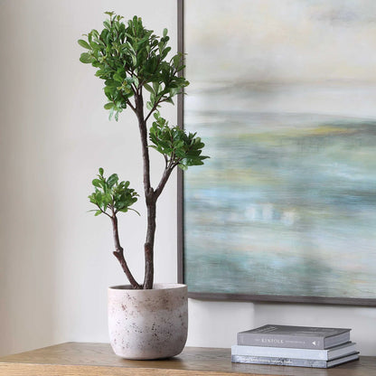 Strawberry Tree