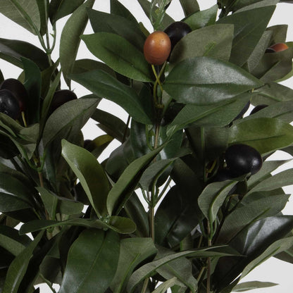 Olive Centerpiece