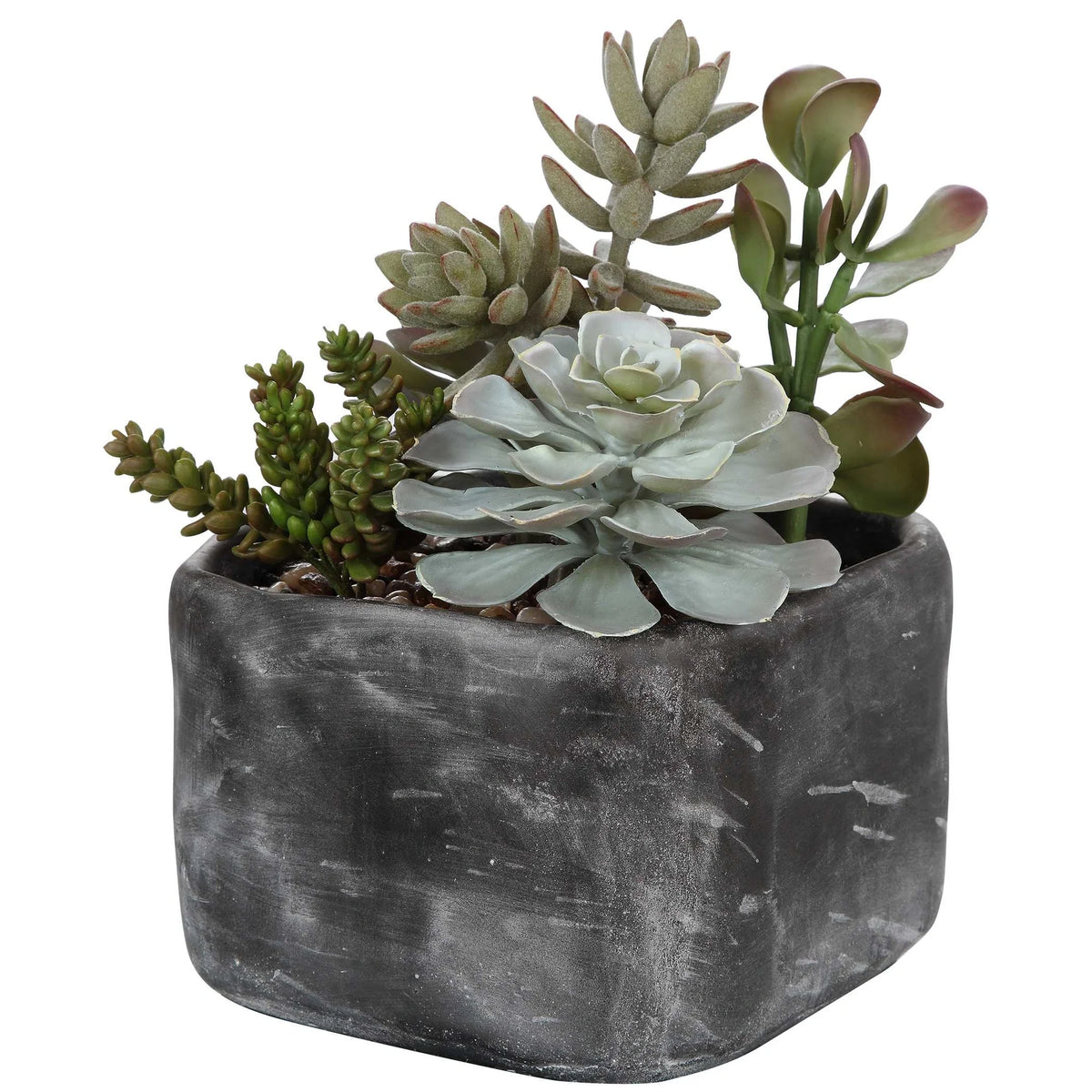Desert Garden Succulents