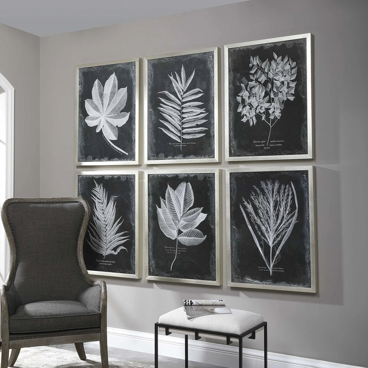 Botanical Leaf Prints, Set of 6