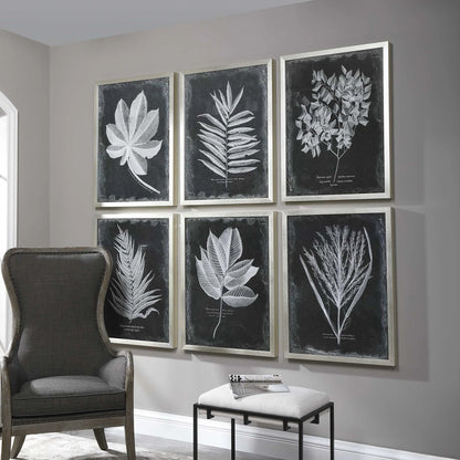 Botanical Leaf Prints, Set of 6