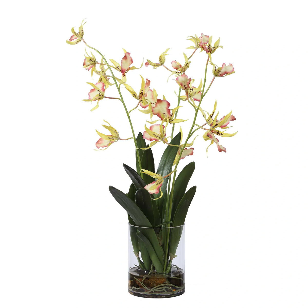 Orchid Glass Vase Arrangement