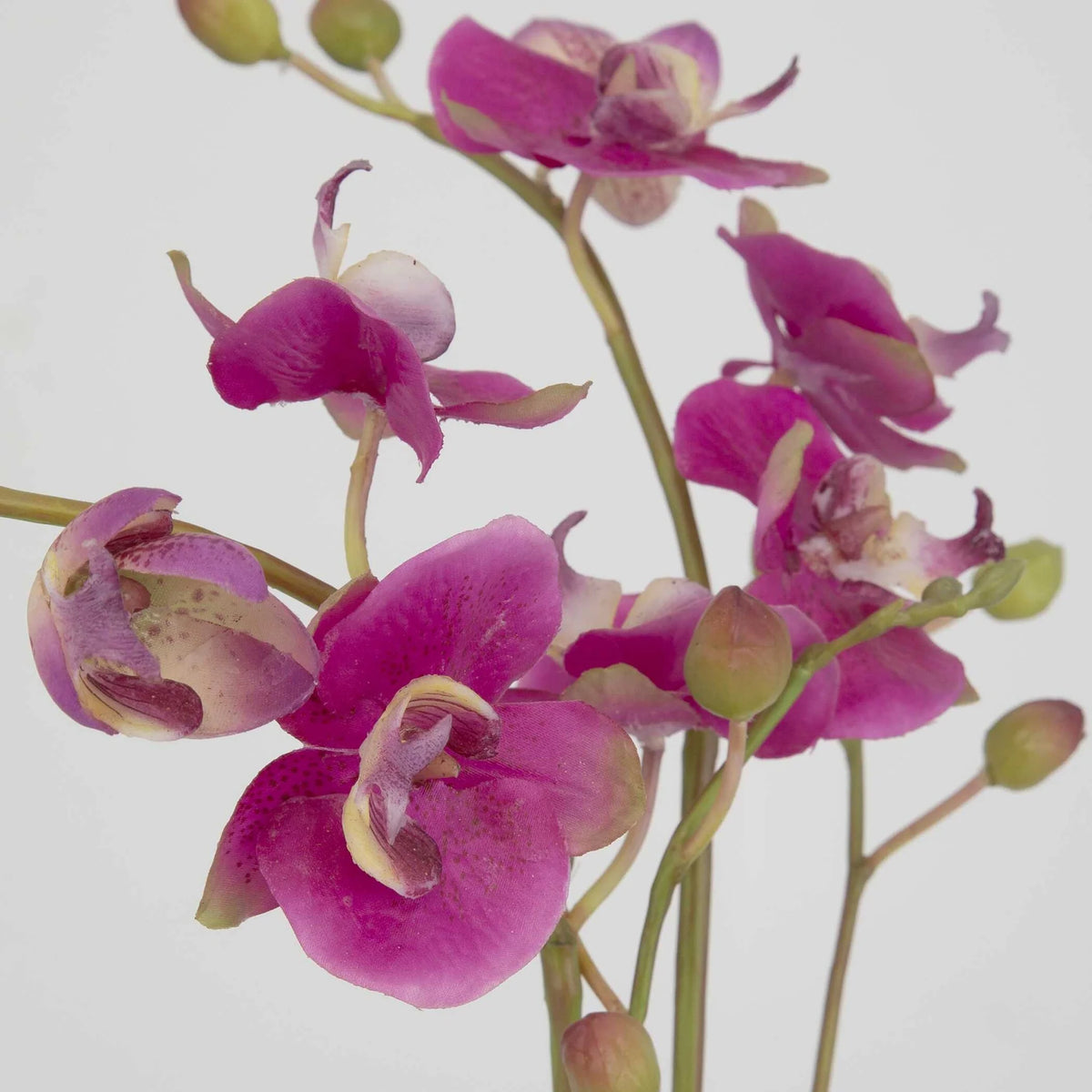 Faux Fuchsia Orchid