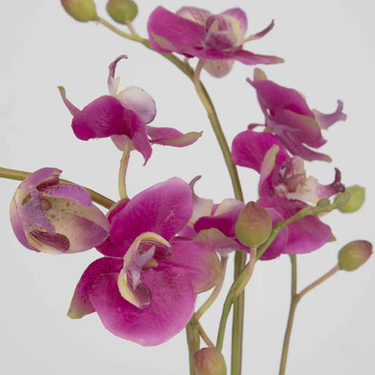Faux Fuchsia Orchid