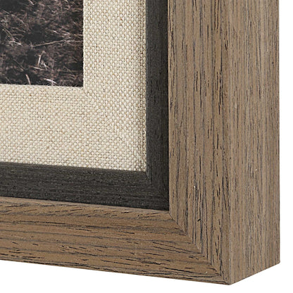 Framed Bovine Print