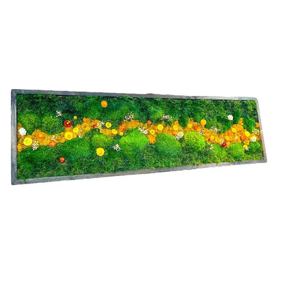 Handcrafted Framed Preserved Moss Wall Art | Botanical Panel with Wildflowers, No Maintenance | Seven Sizes to 60"