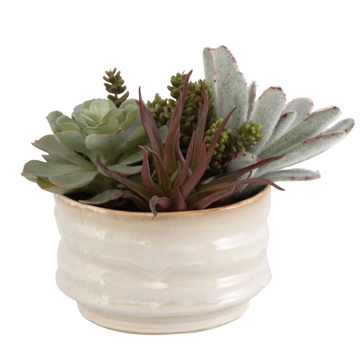 Succulent Accent