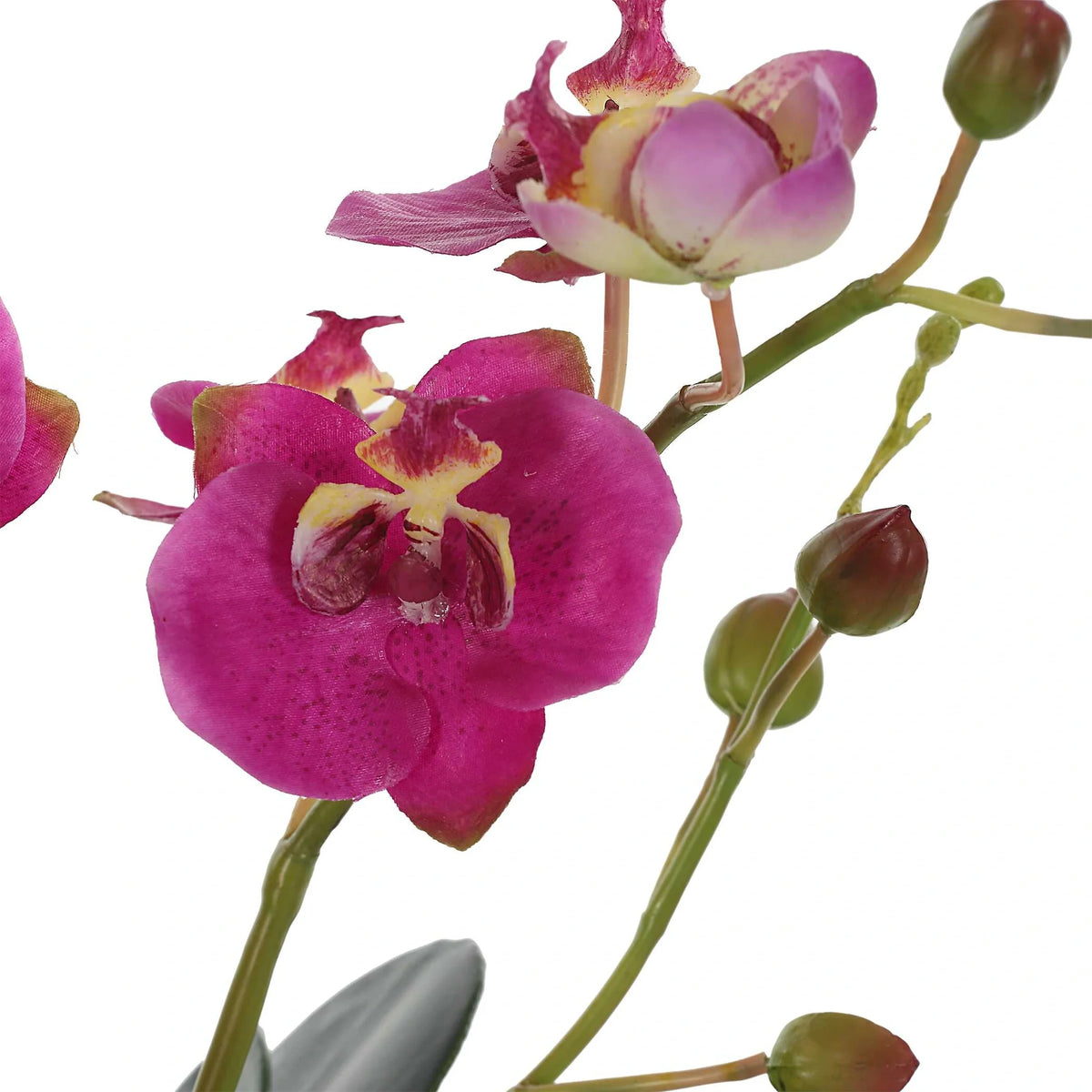 Faux Fuchsia Orchid
