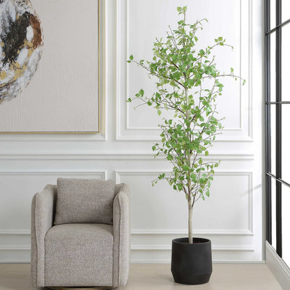 Potted Birch Tree