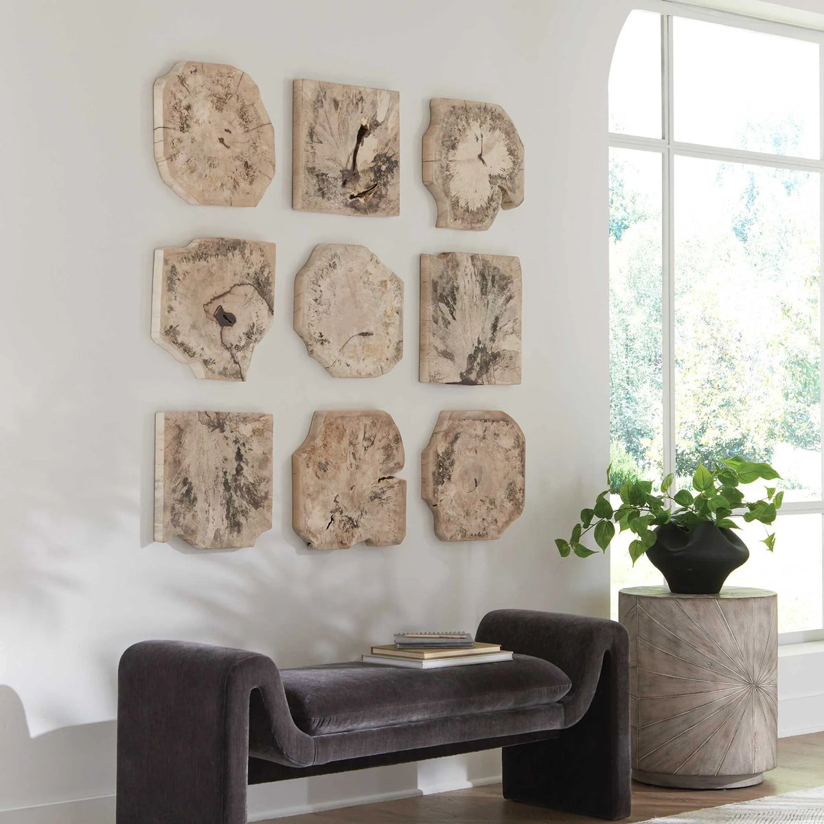 Bleached Wood Wall Decor Set/9