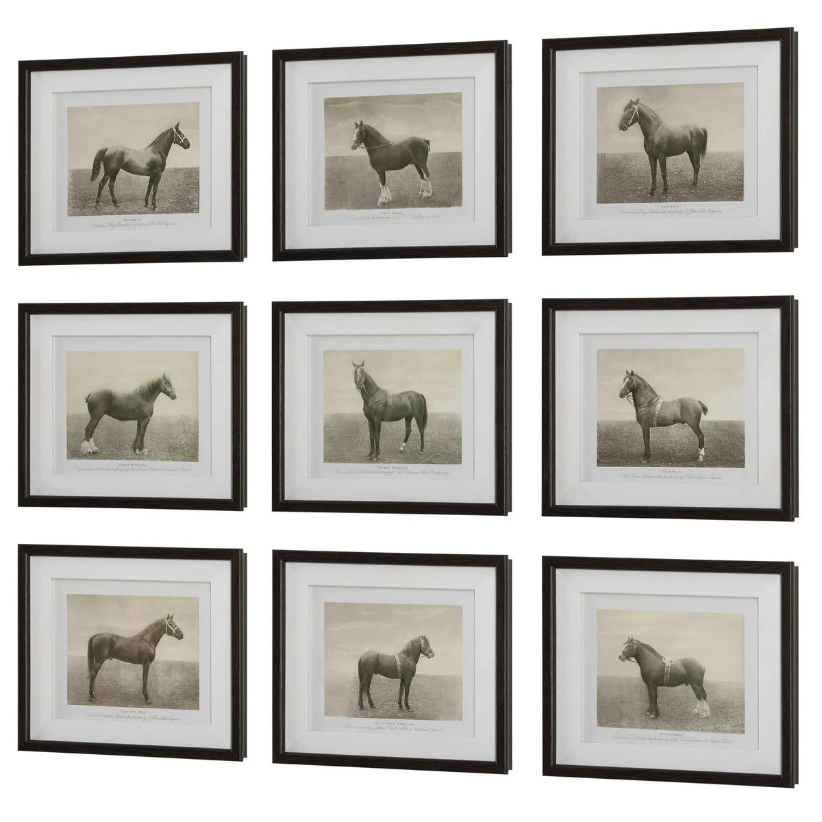 Framed Horse Prints, Set of 9