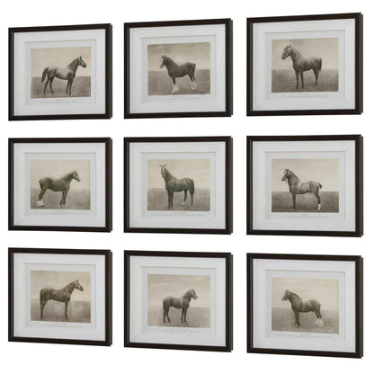 Framed Horse Prints, Set of 9
