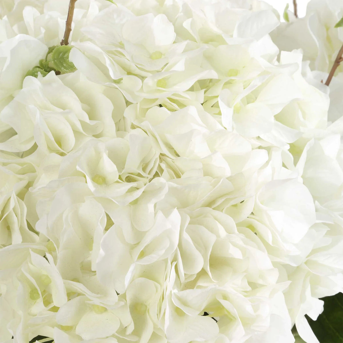 Hydrangea Centerpiece