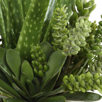 Succulent Arrangement Planter