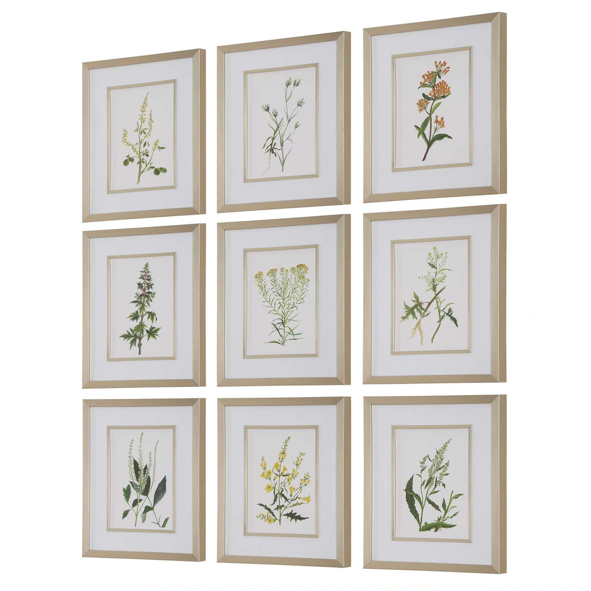 Framed Prints Set/9