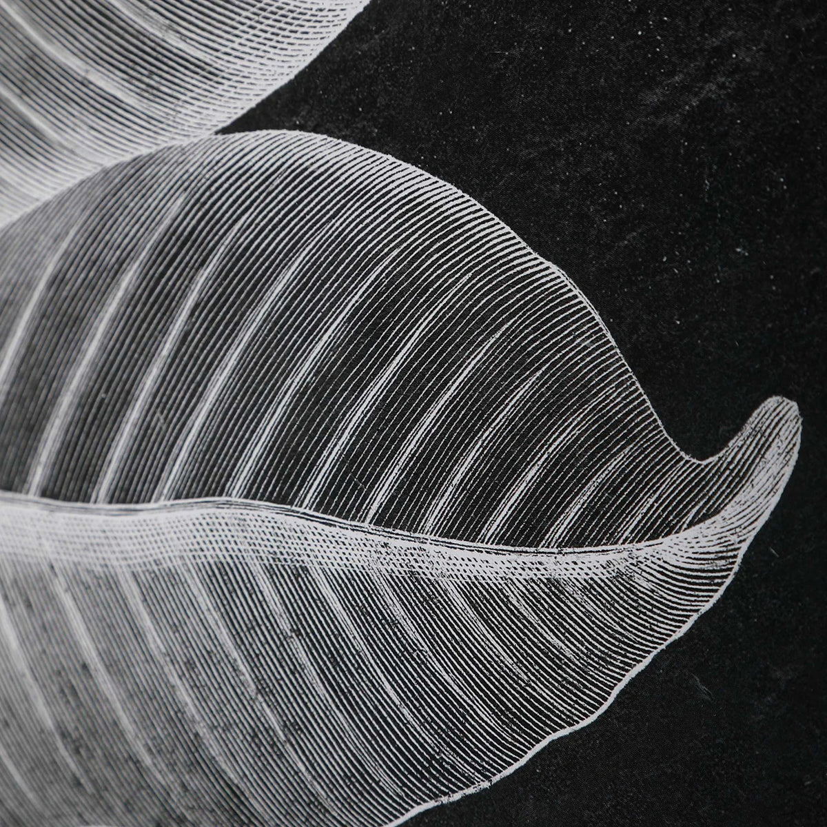 Botanical Leaf Prints, Set of 6
