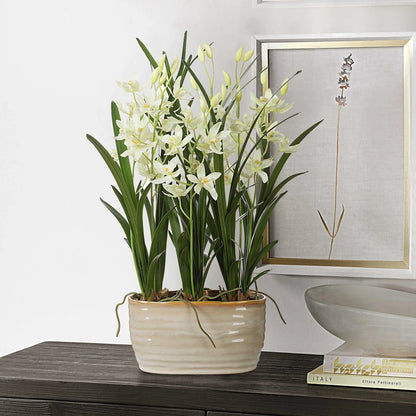 Orchid Planter