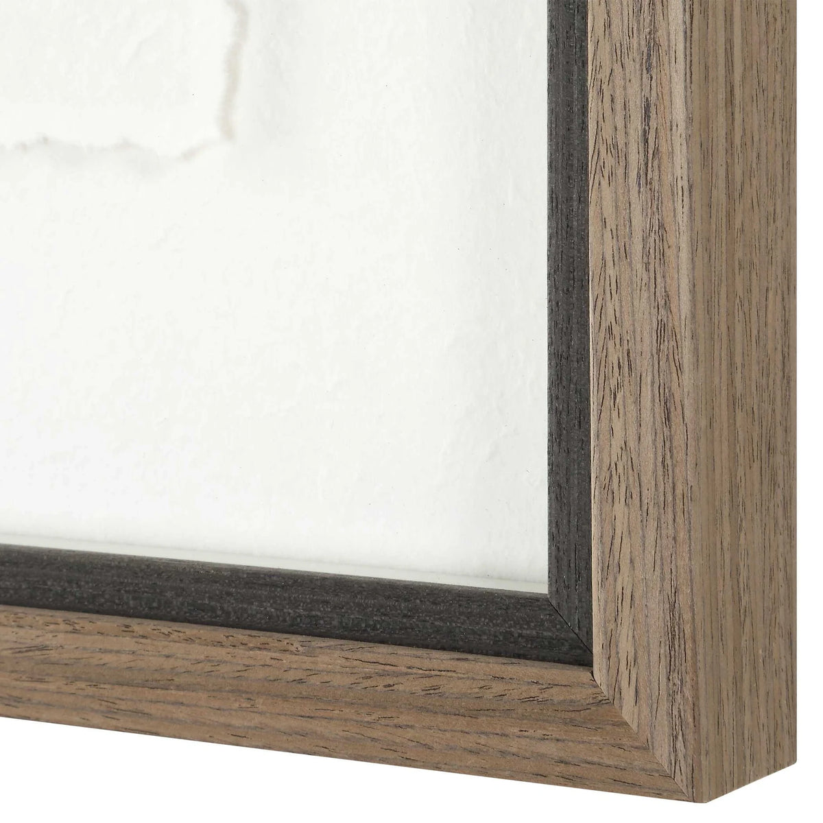 Framed Fish Prints Set/2