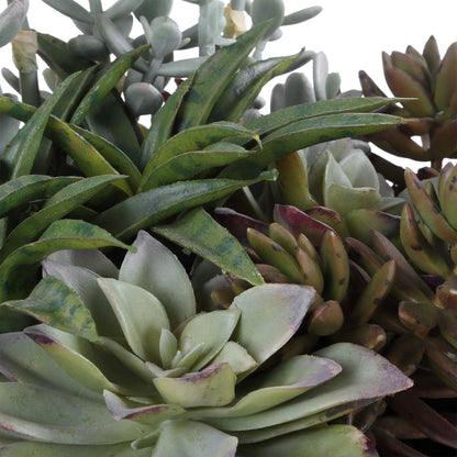 Indoor-Outdoor Succulent Arrangement