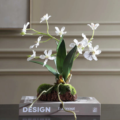 Orchid Drop-In