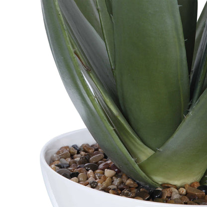 Aloe Planter